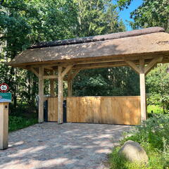 23-09-10 12-41-44 6618